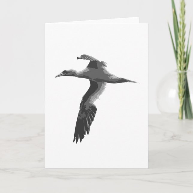 Carte Oiseaux marins Abstraits (Devant)