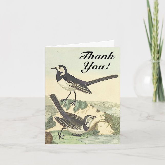 Carte Oiseaux "Merci!" Aspect Vintage (Devant)