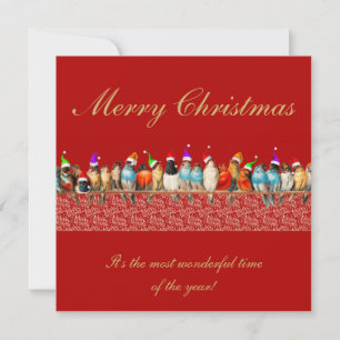 Carte Oiseaux portant le chapeau du Père Noël Salutation