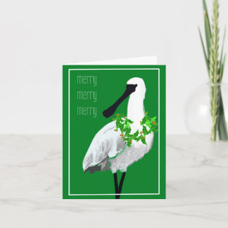 Carte Oiseaux - Spatule à face noire