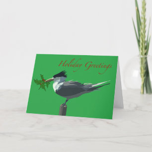 Carte Oiseaux - Sterne royale