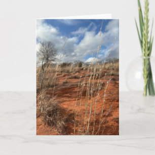 Carte Oklahoma Prairie - Vide