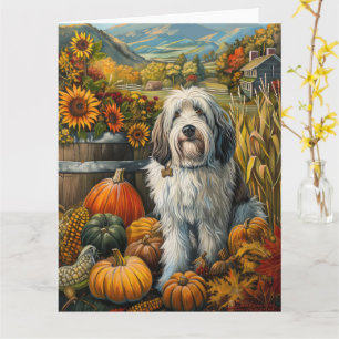 Carte Old English Sheepdog Automne Harvest Thankgiving