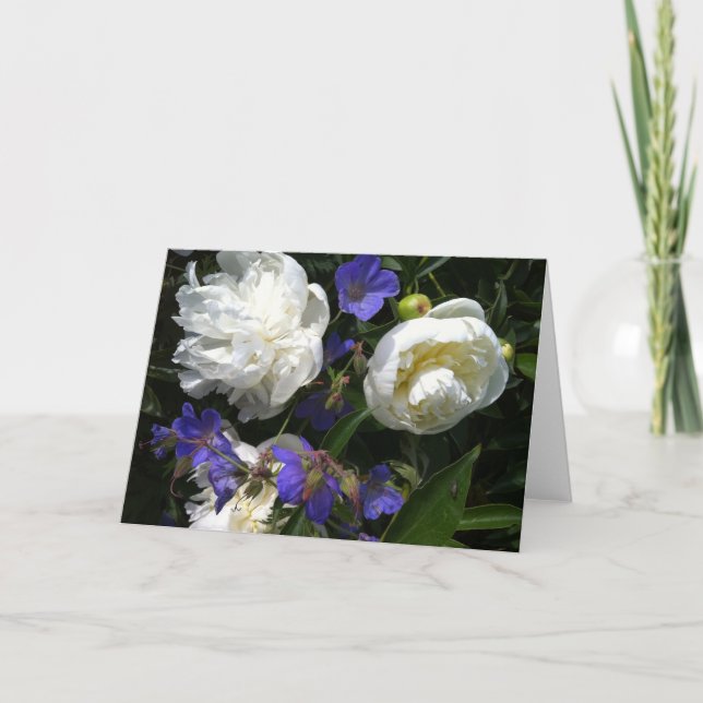 Carte Old Masters Garden Note (Devant)