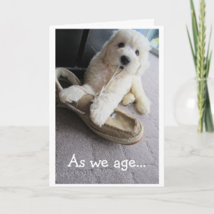 Carte Old Timer Birthday, Cute Goldendoodle pup Humor