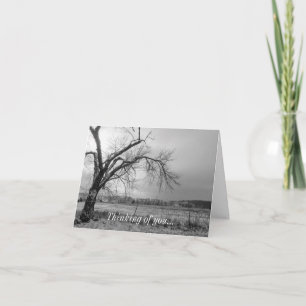 Carte Old Winter Tree Niveaux De Gris Penser De Vous