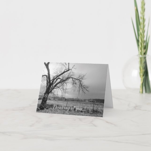 Carte Old Winter Tree Niveaux De Gris Penser De Vous (Devant)