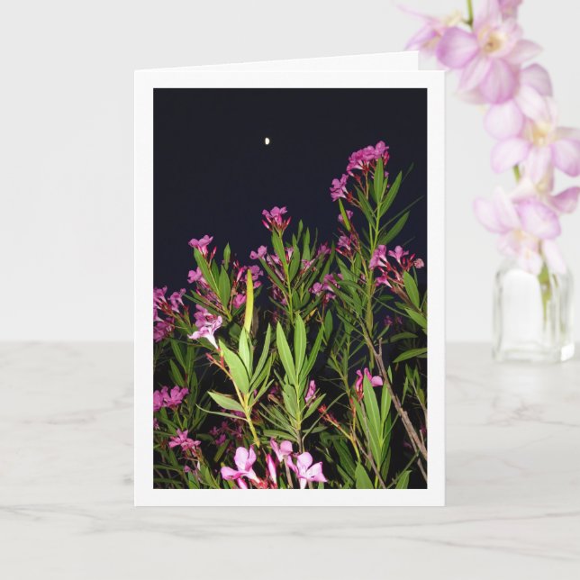 Carte Oleander rose la nuit (Orchidée)