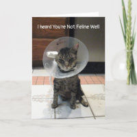 Oliver n'est pas Feline bien - Cat Get Well Card