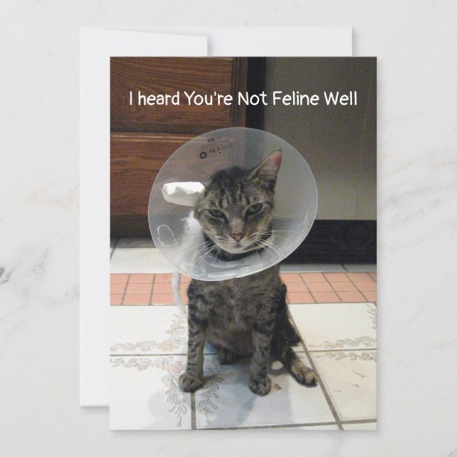 Carte Oliver's Not Feline Well - Cat Get Well Flat Card (Devant)