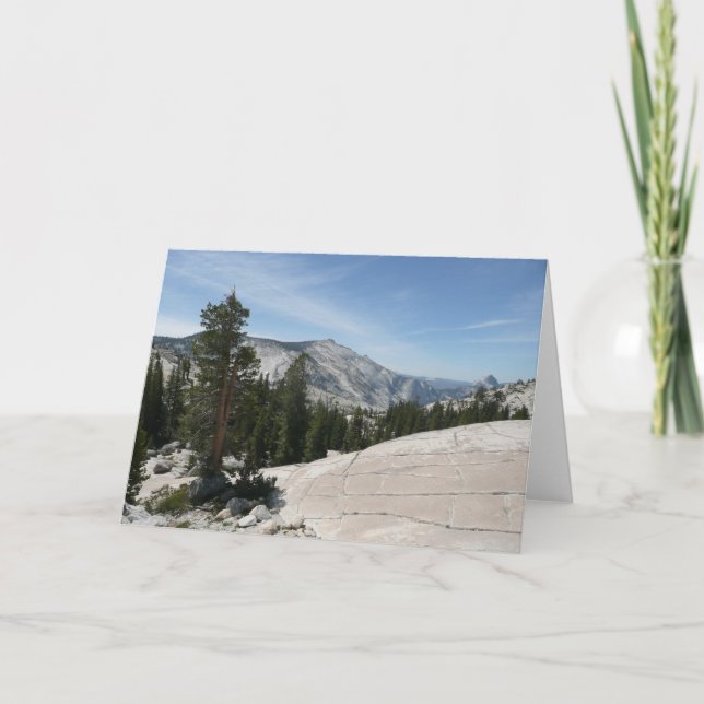 Carte Olmsted Point II de Yosemite National Park (Devant)