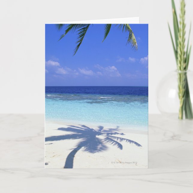 Carte Ombre des palmiers (Devant)