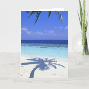 Carte Ombre des palmiers
