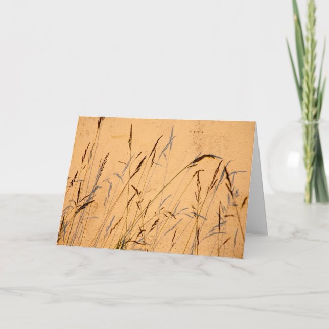 Carte Ombres estivales (Devant)