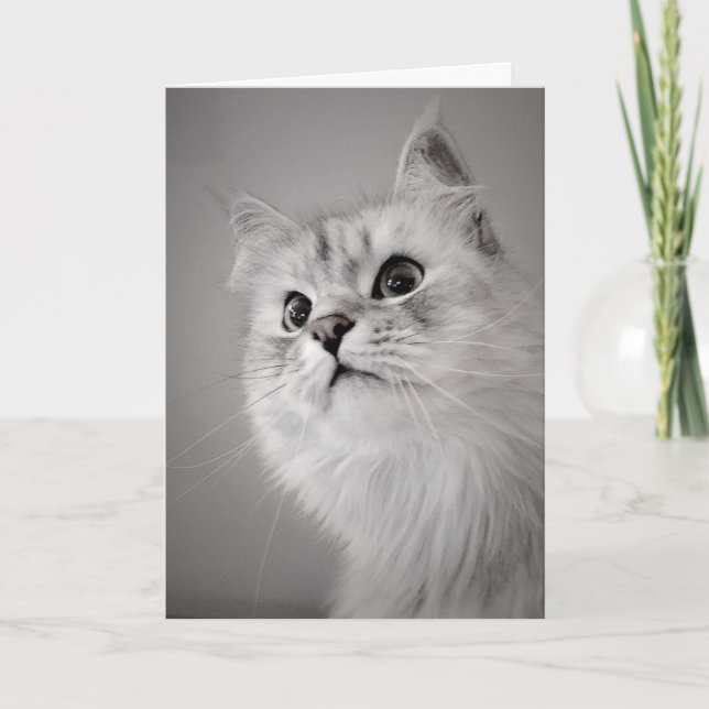 Carte On dirait que c'est ton anniversaire ! (Carte) (Devant)