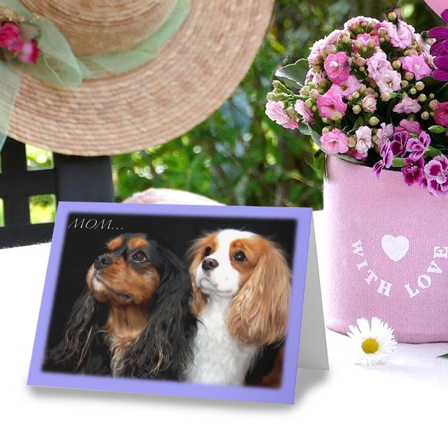 Carte On Mothers Day Two Cavalier King Charles Spaniel (Créateur téléchargé)