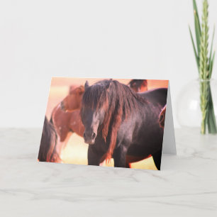 CARTE ONAQUI HERD WILSE HORSE GREETING CARD