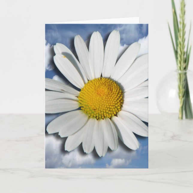 Carte Only a Marguerite Blossom + your text & ideas (Devant)