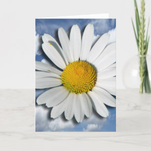 Carte Only a Marguerite Blossom + your text & ideas