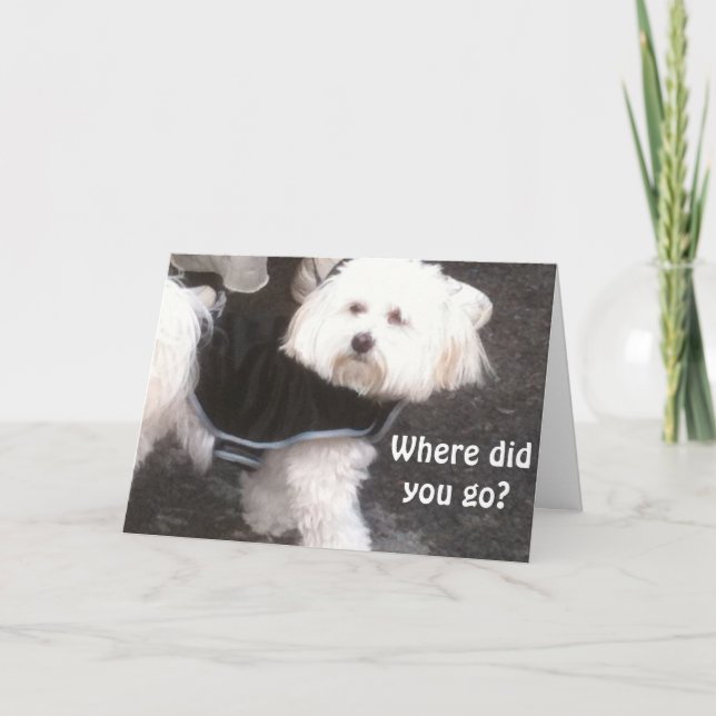 CARTE OOPS, OUBLIÉ TON ANNIVERSAIRE (Devant)