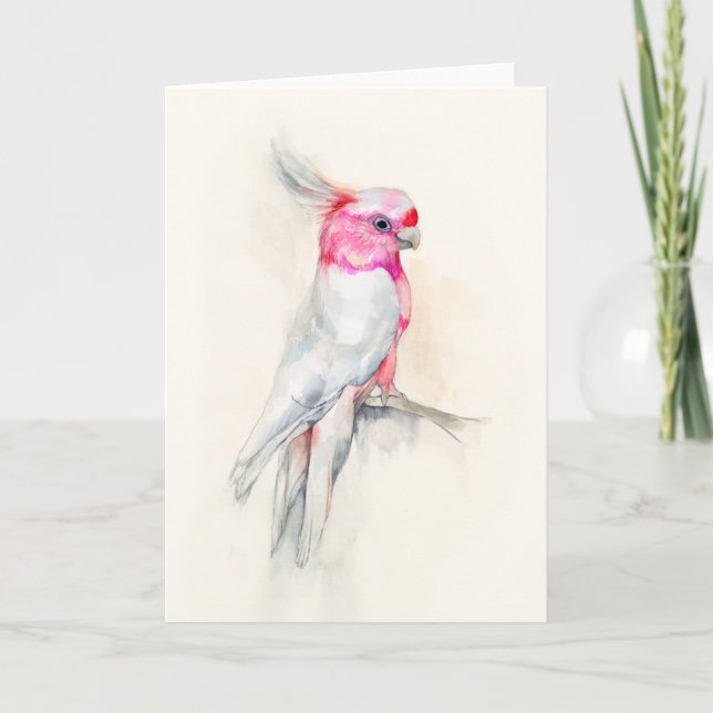 Carte Opera Cockatoo (Devant)