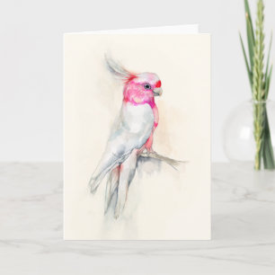 Carte Opera Cockatoo