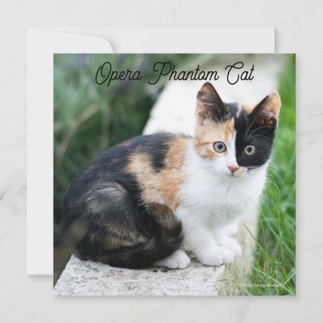 Carte Opera Phantom Chat (Devant)