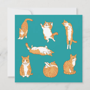 Carte Orange Cats drôle Anniversaire