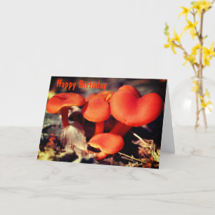 Carte Orange Champignons rouges Nature Anniversaire 