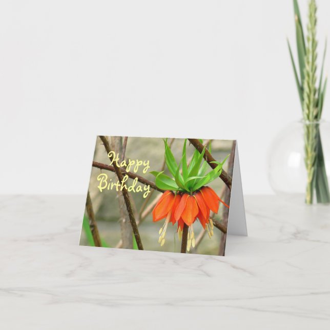 CARTE ORANGE COURONNE FLEURS IMPÉRIALES / SOUHAITS D'ANN (Devant)