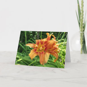 Carte Orange Daylily Flowers Horizontal