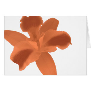 Carte orange d'orchidée