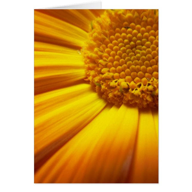 Carte orange fraîche (Devant)