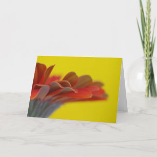 Carte orange Gerbera Daisy