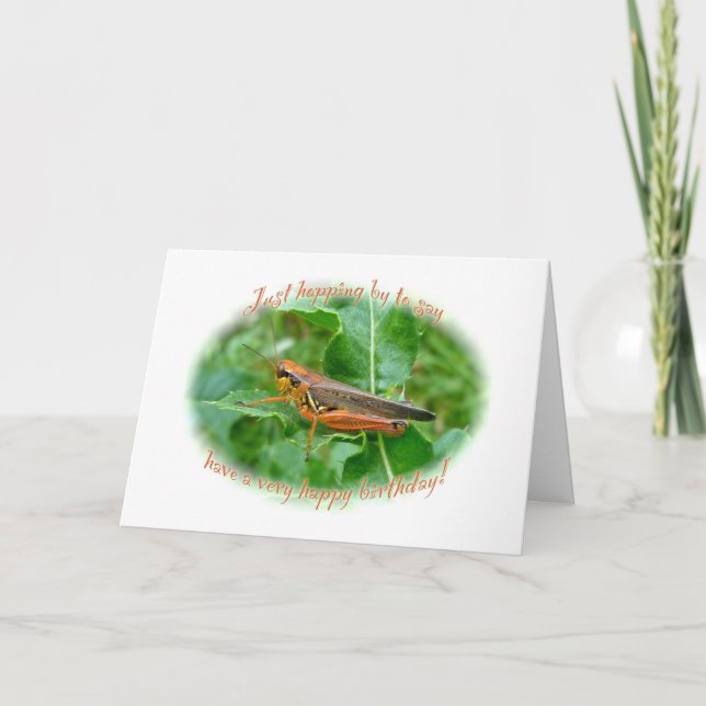 Carte Orange Grasshopper (Devant)