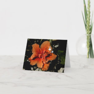 Carte Orange Hibiscus Fée d'ombre