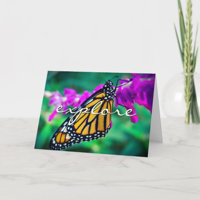 Carte Orange Monarch Butterfly Explorer Script Moderne (Devant)