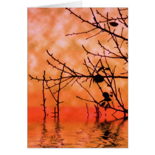 Carte Orange Squasun