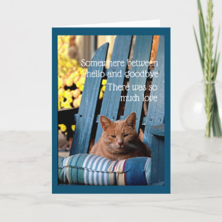 Carte Orange Tabby Cat on Blue Chair  Card