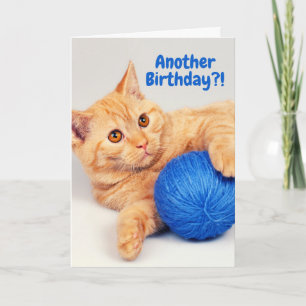 Carte Orange Tabby have a Ball (of yarn) Birthday Card