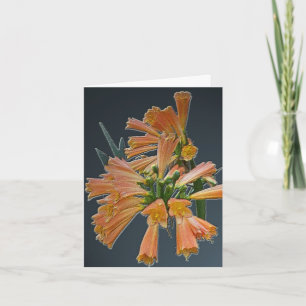 Carte Orange Tropical Flower Note