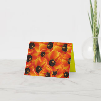 Carte orangetulipssideview, orangetulip3, orangetulip...