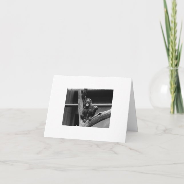 Carte orangoutan (Devant)