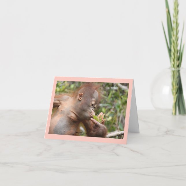 Carte Orangutan Infantile Avec Fleur Tropicale (Devant)
