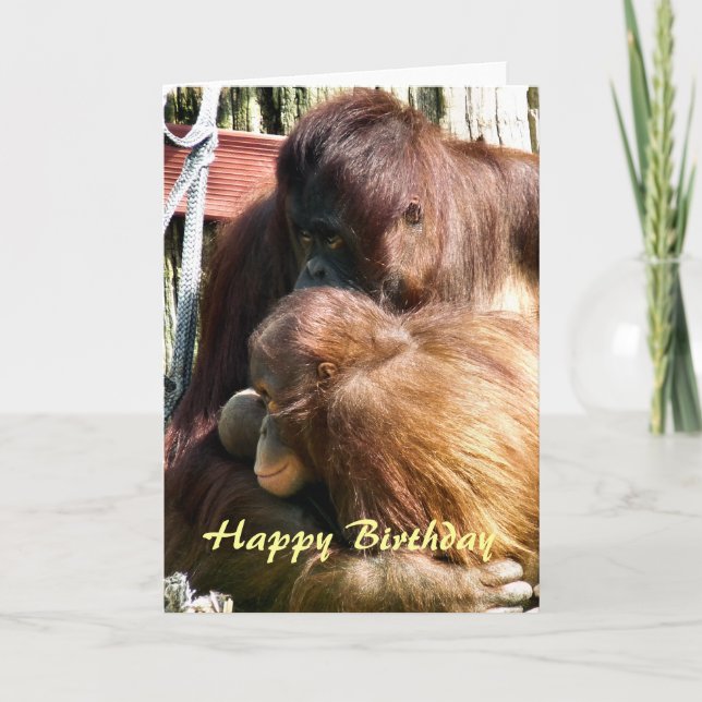 CARTE ORANGUTANS (Devant)