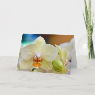 Carte Orchid