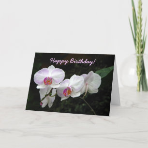 Carte Orchid Birthday Greeting Card