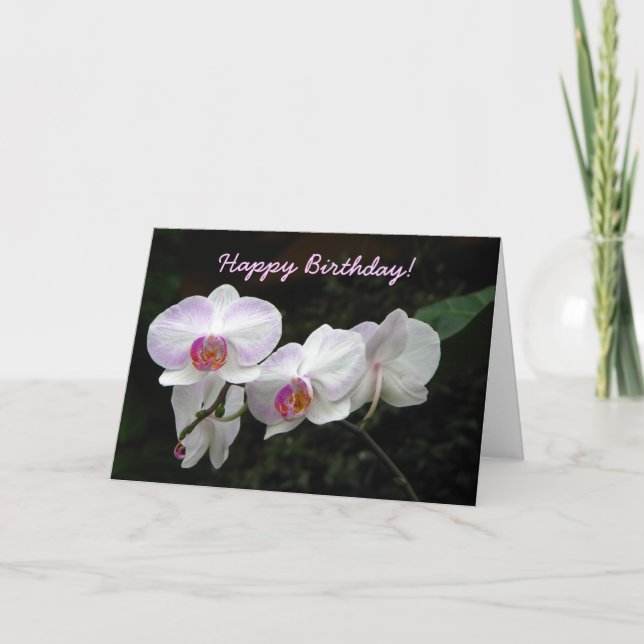 Carte Orchid Birthday Greeting Card (Devant)