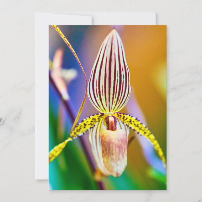 Carte Orchidée (Devant)