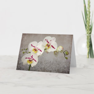 Carte Orchidée blanche